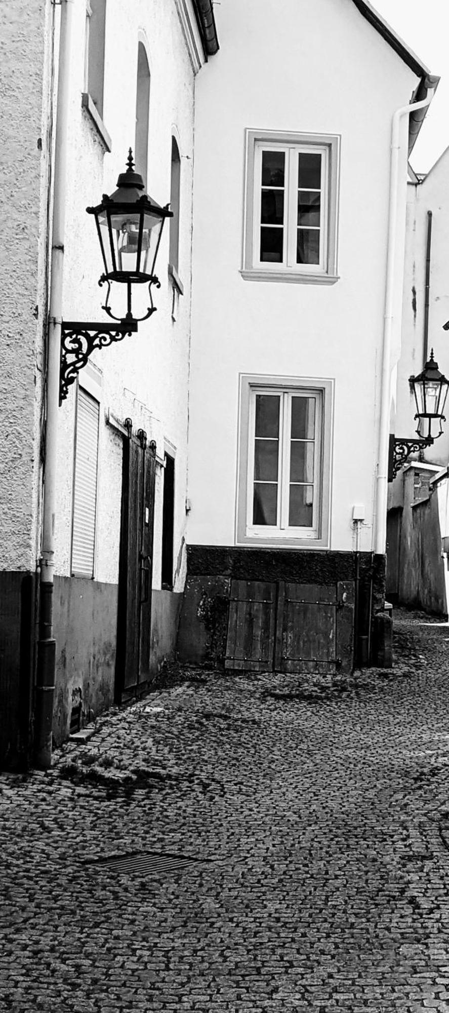 III Rhein Charme Studios Gemuetlichkeit, Style & Geschichte Bei Katrin Und Familie III Koblenz  Exteriör bild